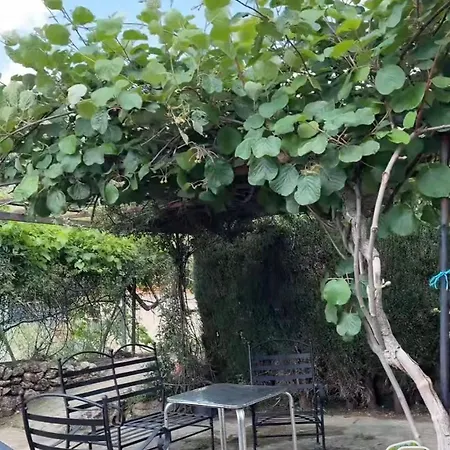 Rural San Jorge Bajo Navaconcejo