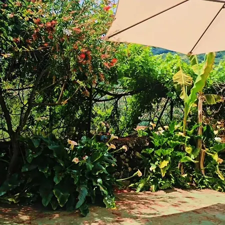 Rural San Jorge Bajo Appartement