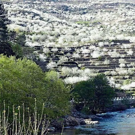 Apartment Rural San Jorge Bajo *